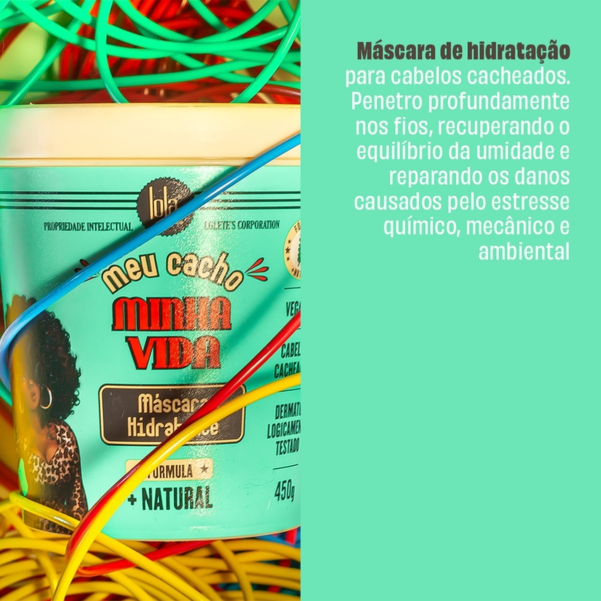 Meu Cacho Minha Vida Máscara Lola 450g Hidratação para Cacheados